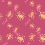 Attention Deficit Hyperactive Disorder